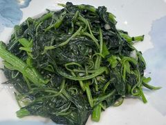 -小小饭店·休闲农庄·安吉松树林里的农家菜