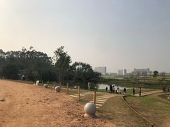 -光明小镇欢乐田园