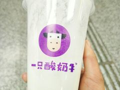 -一只酸奶牛(八一路店)