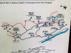 -铁山坪森林公园