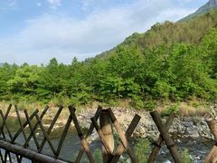 -九鲤溪瀑景区