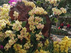 -北京植物园-展览温室