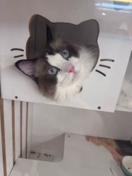 -隅日式美甲美睫專門店