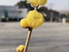 -白塘生态植物园