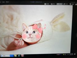-西瓜庄园儿童摄影