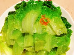 盐水白灼生菜-点都德(千灯湖环宇城店)