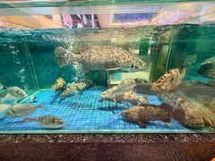 -聚福宝合苑食府(南头镇店)