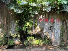 -广州兰圃