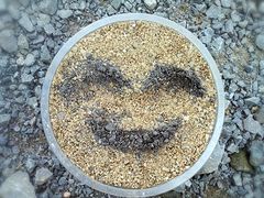 -小丑先生西饼屋(振兴路店)