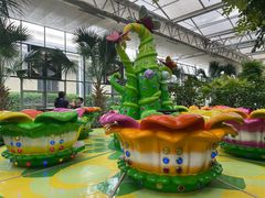 -南宫五洲植物乐园