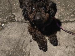 -金铂广场(龙归店)