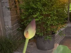 -花锦堂·隐庐