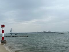 -北海金海湾红树林生态旅游区