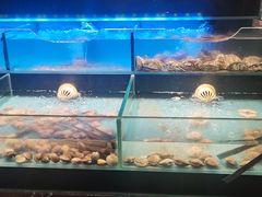 -亿海百鲜海鲜烤肉自助(贵阳数博万达店)