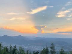 -长虫山生态公园风景林