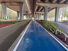 -宝安西湾红树林湿地公园