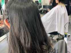 -风向标WIND VANE SALON