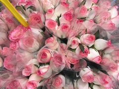 -循礼门鲜花花市(武汉循礼门店)