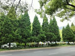 -RUSON(黄龙店)