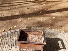 -上海滨江森林公园