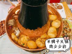 -年轮烧烤·羊蝎子·烤鱼(星湖街店)
