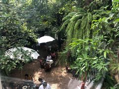 -Fern Forest Cafe