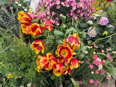 -家富足道·SPA·影院式(解放碑碑中心店)