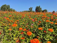 -长春世界雕塑园冰雪艺术天地