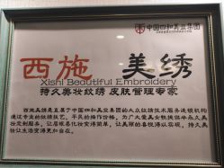 -西施无菌半永久纹绣眉眼影唇轻增发纹发际线