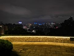 -金鸡山公园