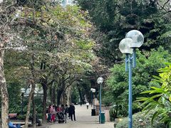 -九龙公园