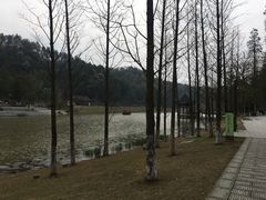 -常德桃花源景区