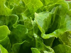 -香满锅老北京羊蝎子火锅·家常菜(新街口店)