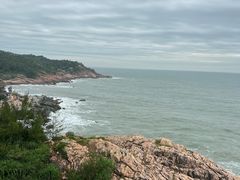 -广东惠东海龟国家级自然保护区