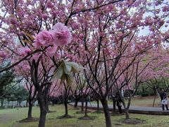 -苏州河梦清园环保主题公园