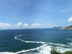 -广东惠东海龟国家级自然保护区