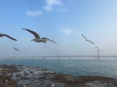 -星海广场
