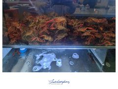 -虾铺子龙虾·私房菜(金源花苑店)