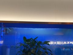 -老板恋上鱼(印象城店)