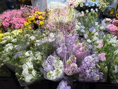 -循礼门鲜花花市(武汉循礼门店)