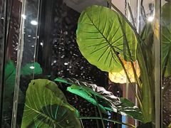 -七欣天香辣蟹火锅(苏州东大街店)
