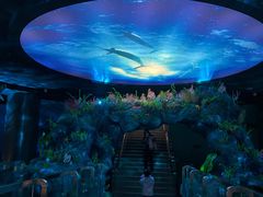 -陕西自然博物馆