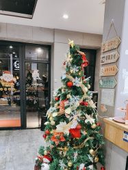 -心联形象设计·流星染