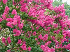 -杭州城北体育公园