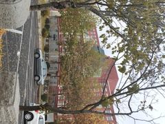 -东北大学(秦皇岛分校)