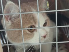 -菲尔斯特宠物医院