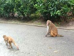 -黔灵山公园-南门售票处