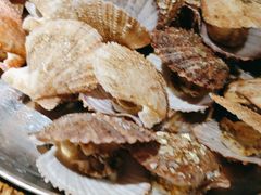 -前海沿·青岛菜(大拇指广场石老人店)