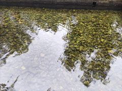 -竹泉村旅游度假区