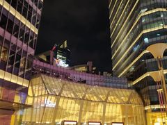 -海关大楼(陆家嘴街道)